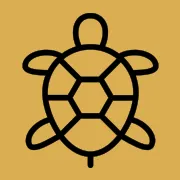 Turtle Based - Boilerplates.org